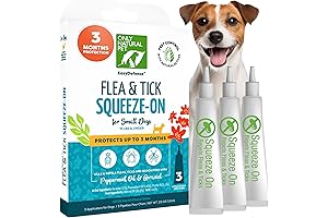 Natural Flea and Tick Prevention for Small Breed Dogs