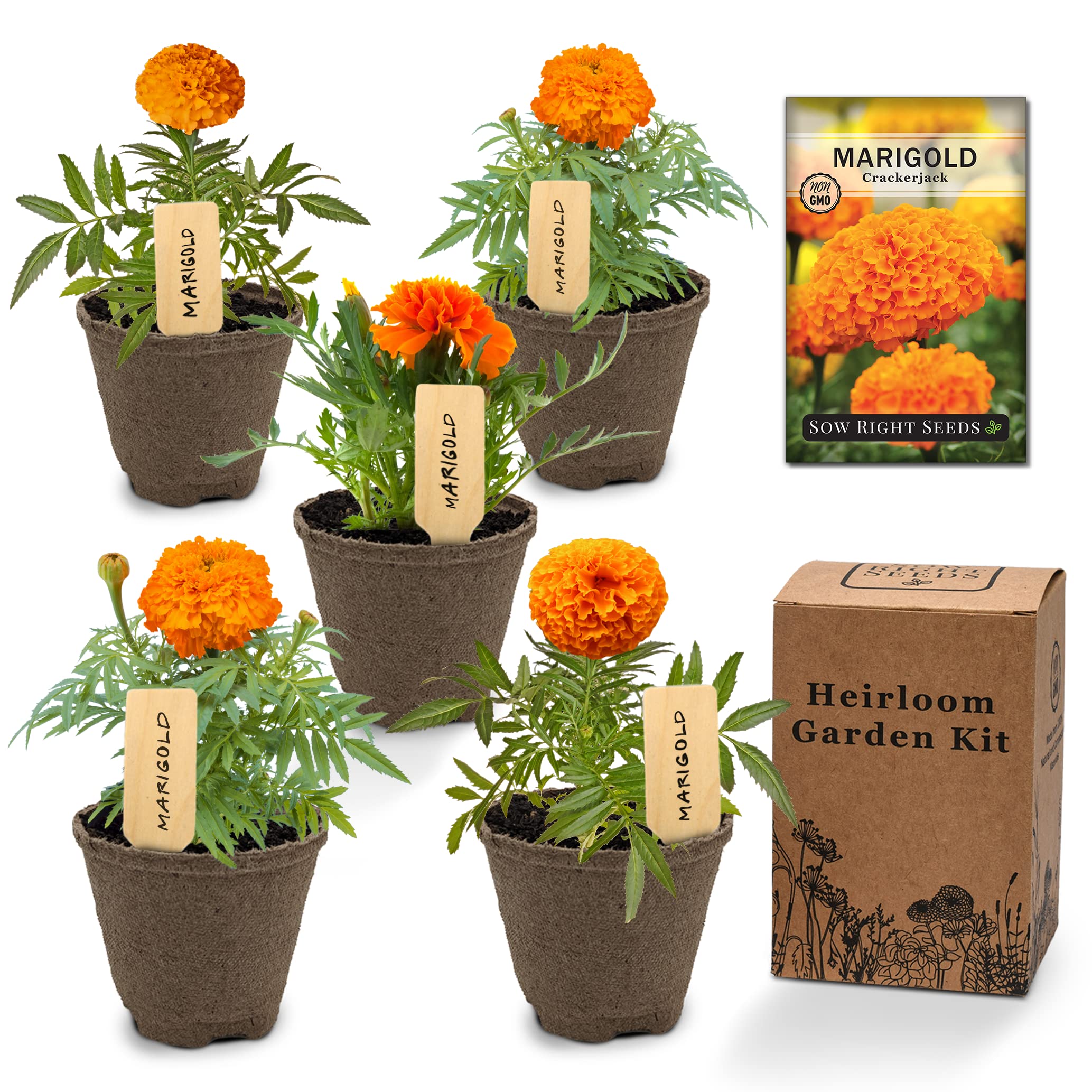 indoor plant supports Treleaf Stella Extension Kit Cedar Modular Collection