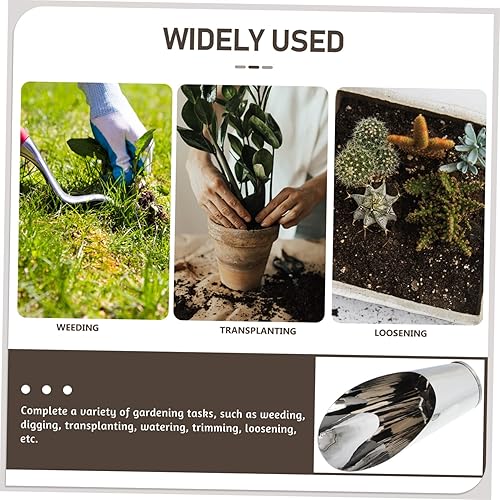 Miniatura 9 de Pala de cubo de acero inoxidable, cuchara de suelo para bonsái, cucharas de plástico para fertilizantes de jardín, cuchara de alimentación, cucharas