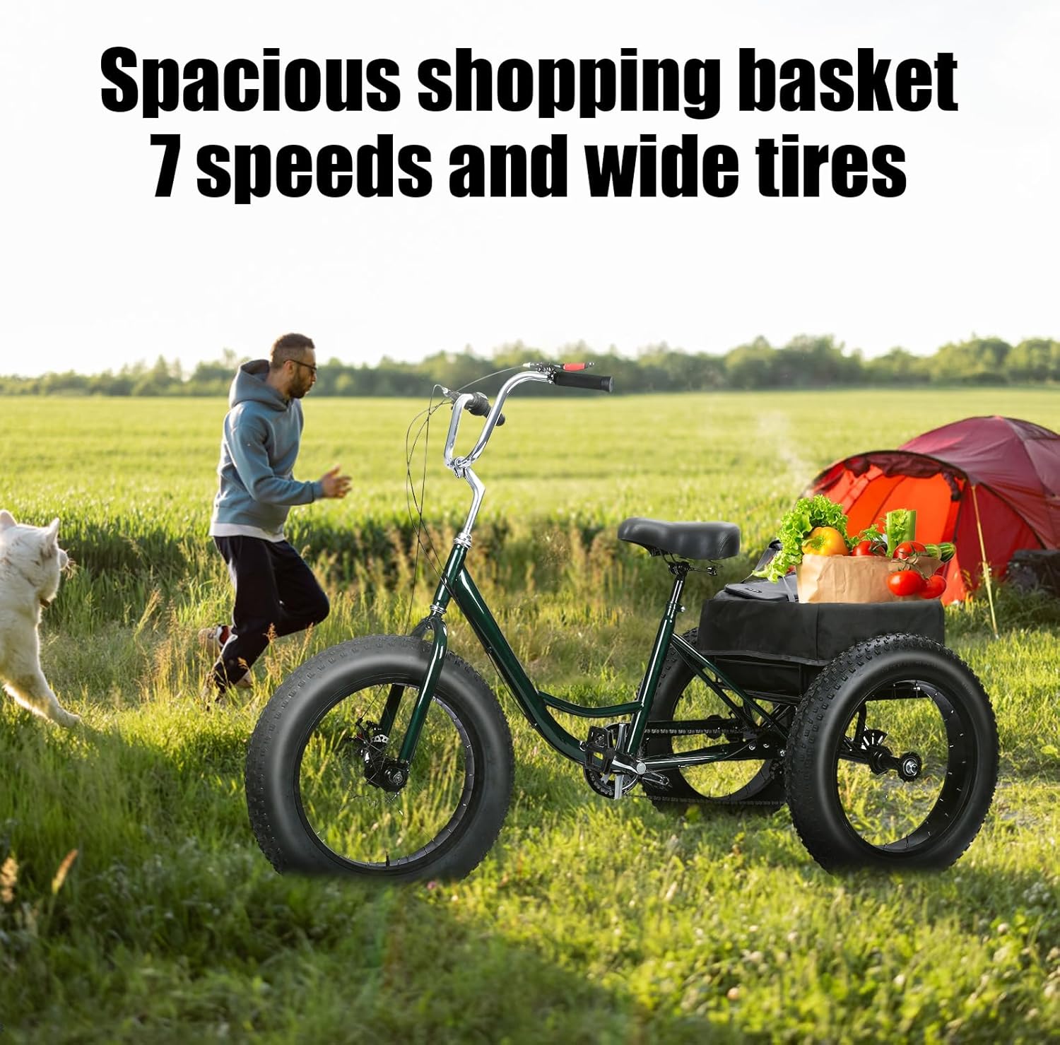 7 Speed Tricycle for Adults - 20 Inch Fat Tire Trike for Adult, 3 Wheel Bikes Load Capacity 450lbs, Adjustable Cruiser Trike for Men Women,with Double Disc Brake, Spacious Shopping Basket