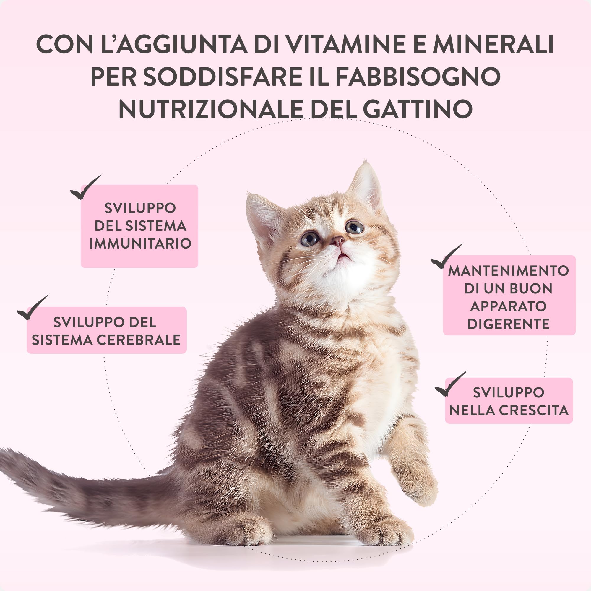 Schesir Baby, Filettes de Pollo Y Salmòn, Comida Humeda Completa para Gatitos (36 latas x 55g)