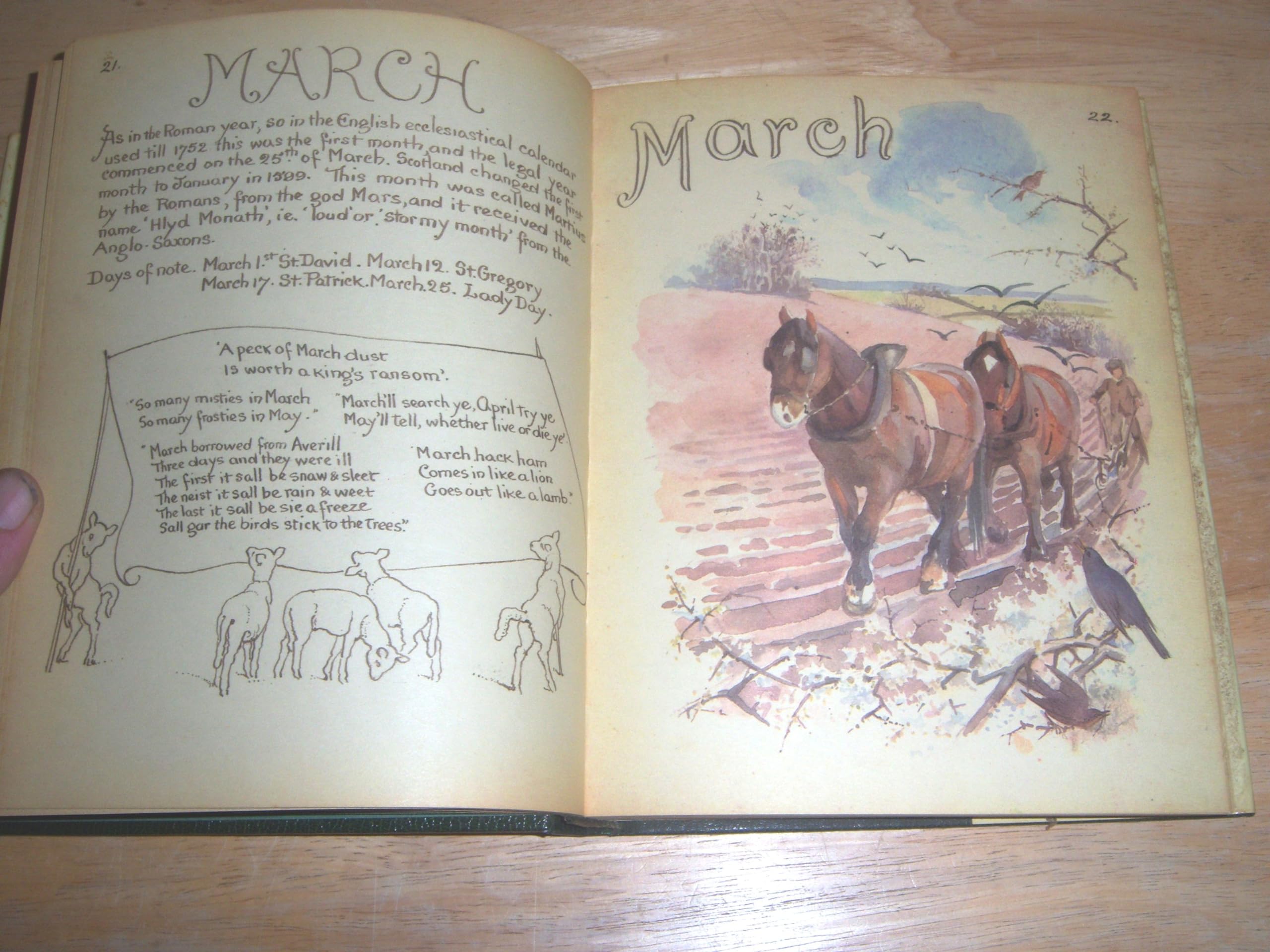 The Country Diary of an Edwardian Lady, 1906: A Facsimile Reproduction of a Naturalist's Diary - Image 8