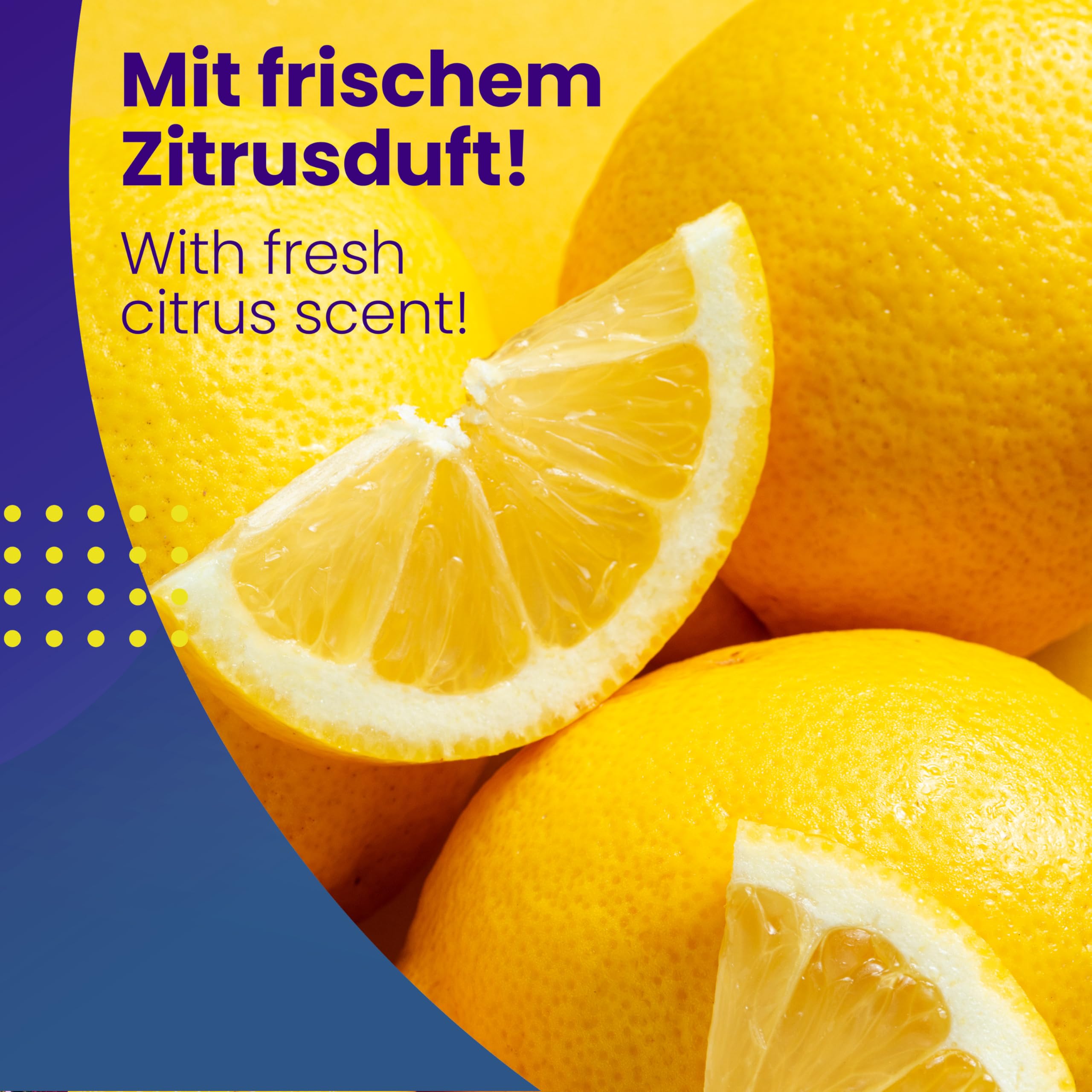 Mr. Perfect® - Multistar Multireiniger 4x 5L Konzentrat - Polsterreiniger, Teppichreiniger, Textilreiniger, Kunststoffreiniger und Autoinnenreiniger - Autoreinigung von Innen und Außen