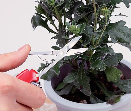 Miniatura 2 de Victorinox (Victorinox) Traveler Tee Warranty 1.3703. T Japón genuino