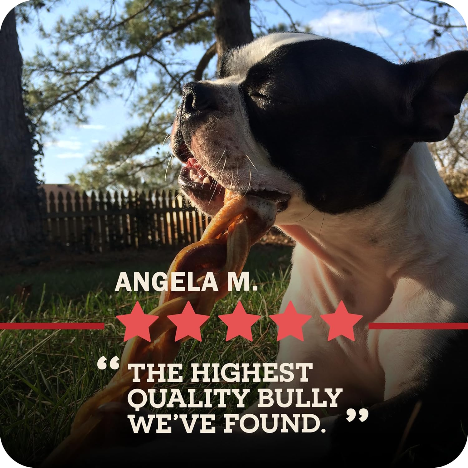 Redbarn Pet Products All-Natural 12" Braided Bully Sticks for Dogs - Premium Slow Roasted Long Lasting Chew Treats Made with 100% Beef - Single Ingredient Low Odor - 5 Count - Packaging May Vary - Image 13