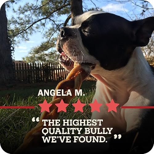 Miniatura 13 de Redbarn Pet Products Naturals 200005 Bully Springs Pet Chew Treat 25 Case, sin olor, talla única