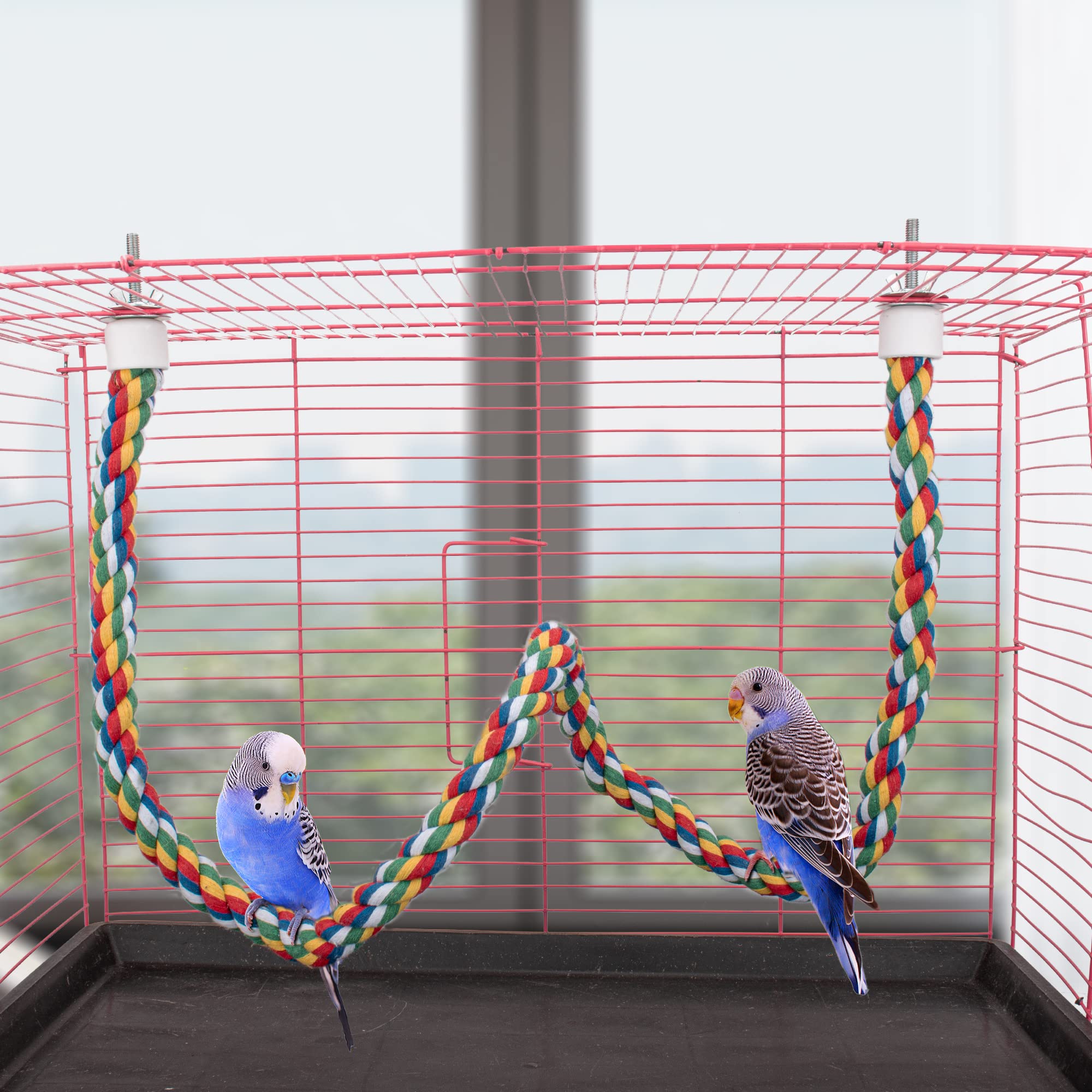 Perchoir Perroquet Corde 105cm Perruche Escalade Ficelle pour Calopsitte/Inséparables Petit Moyenne Oiseaux