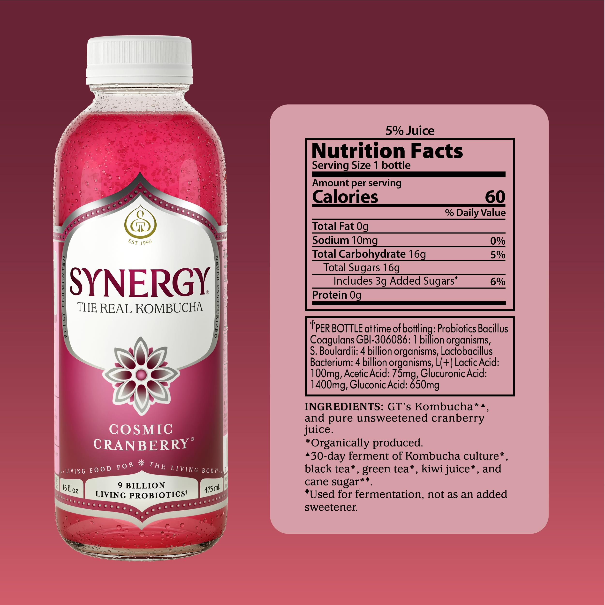 Amazon.com: SYNERGY The Real Kombucha - Cosmic Cranberry - 16 fl