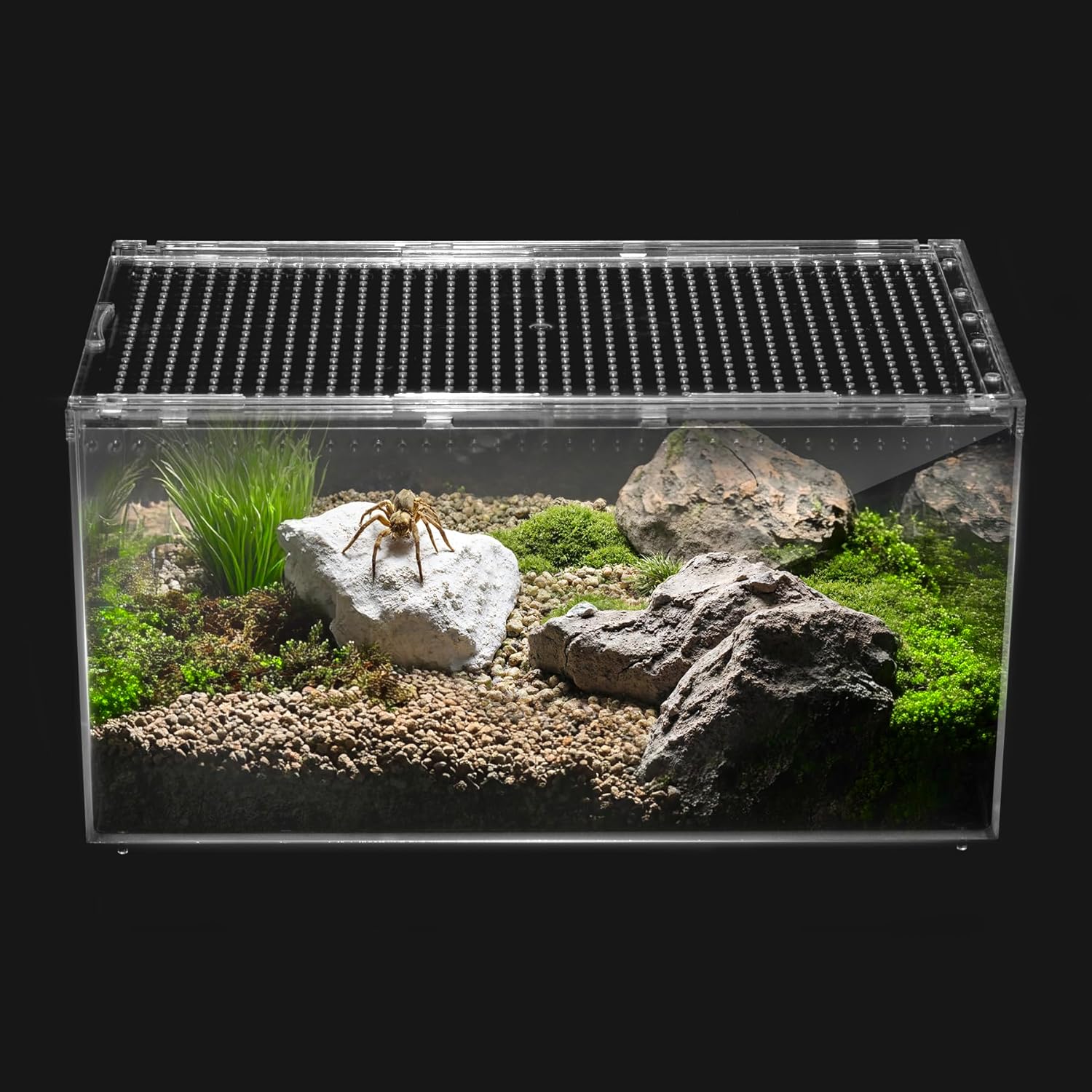 Reptile PC Terrarium, Spider Tank Starter Kit, Leopard Gecko Container, Tarantula Cage, Hermit Crab Habitat, Lizard Enclosure, Insect Housing, Jumping Spider Enclosure, Small Bearded Dragon Vivarium