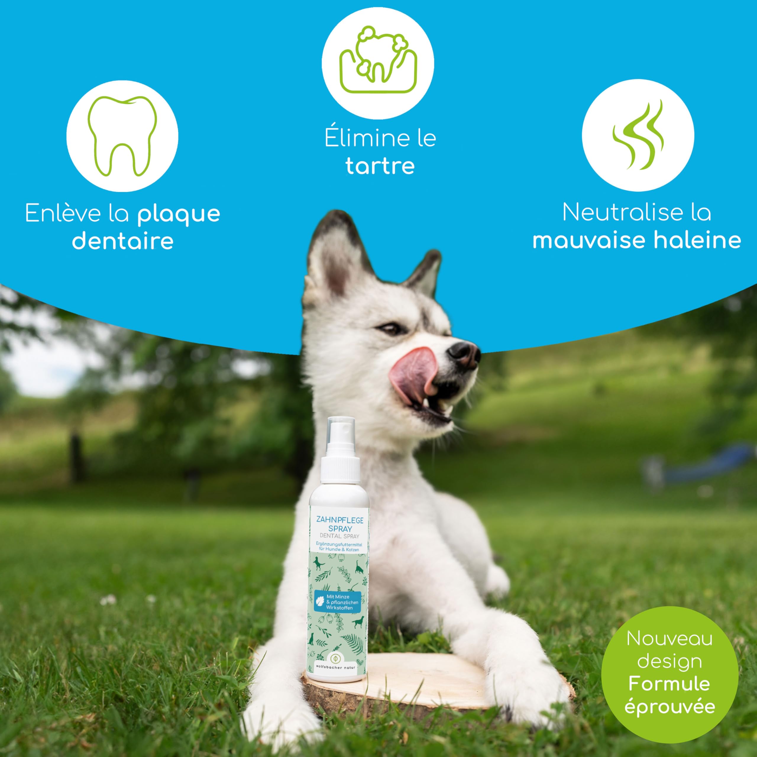 Détartrant pour Chiens & Chats – Spray Dentaire Naturel pour un Nettoyage sans Brosse – Élimine le Tartre & Réduit la Mauvaise Haleine – Haleine Fraîche à la Menthe 150ml