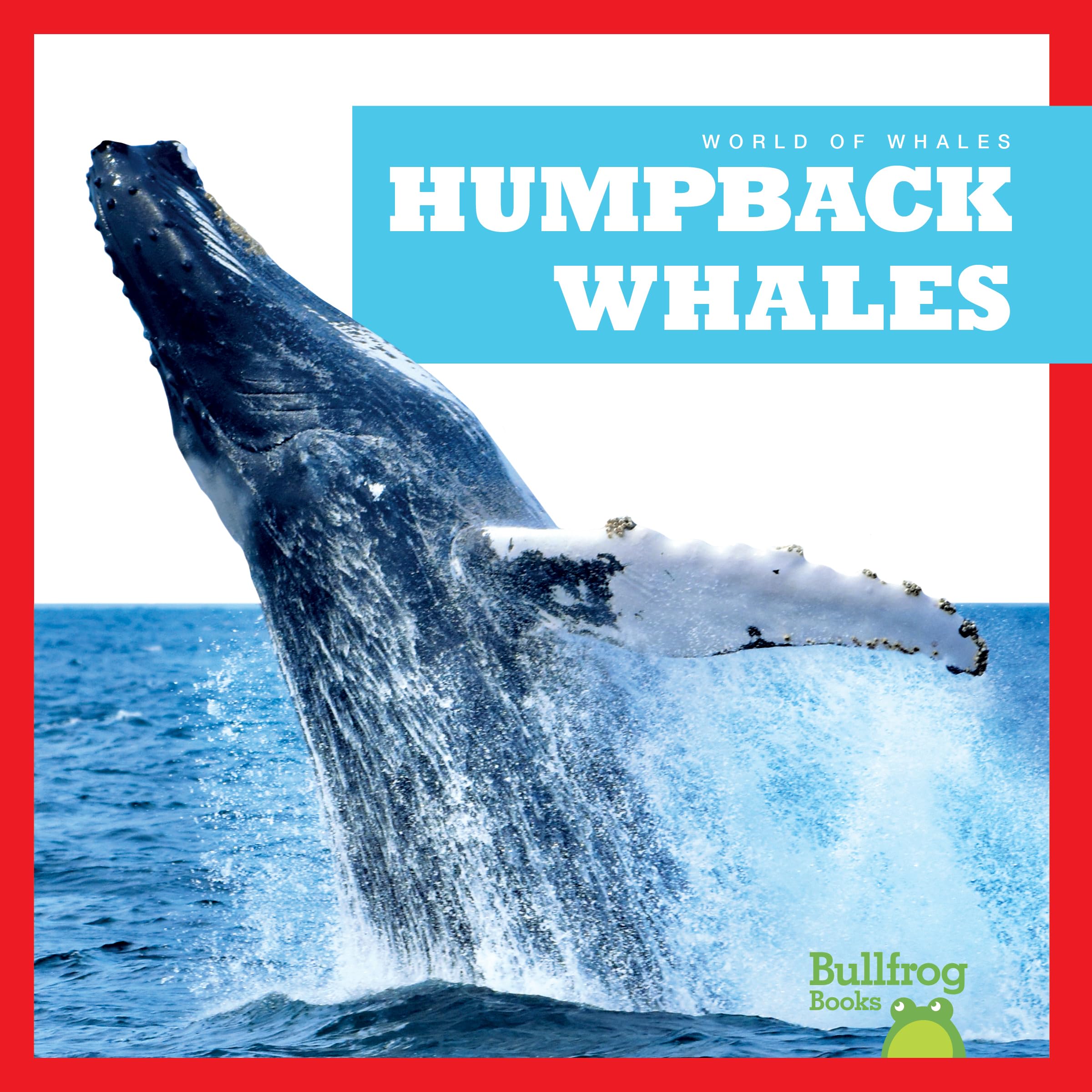 Humpback Whales (World of Whales)