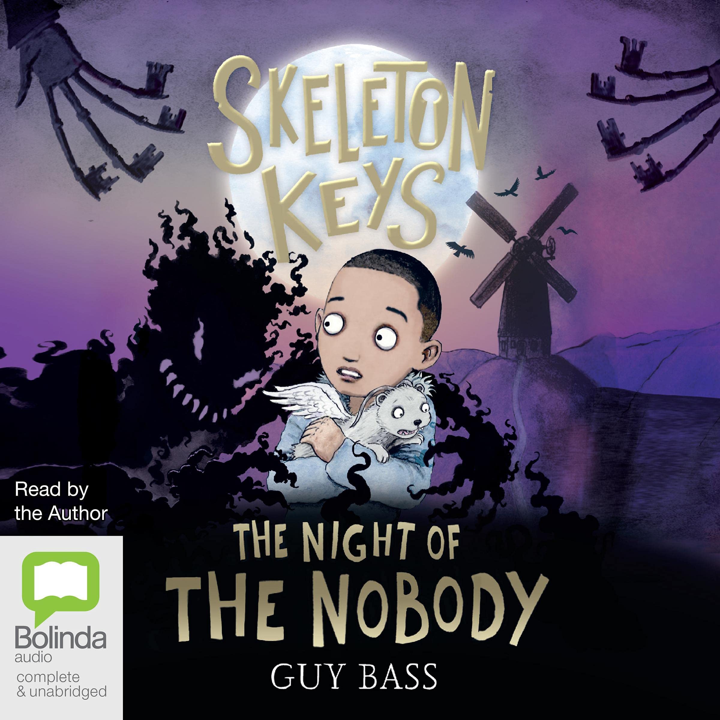 Cover art for Skeleton Keys: The Night of the Nobody