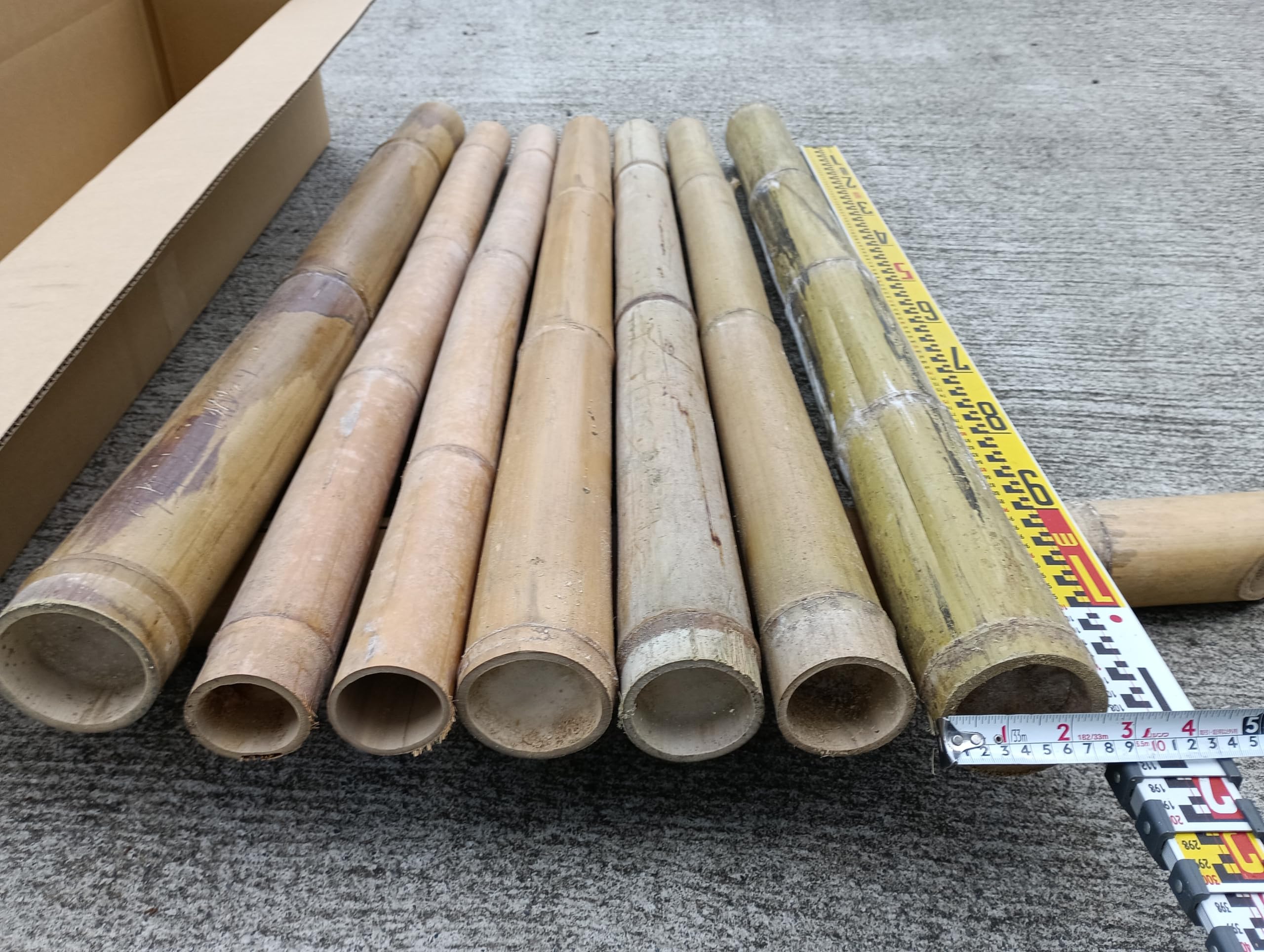 Amazon.co.jp: 伐採御1年経過の竹・多用途 太竹・直径6～10㎝前後青竹7