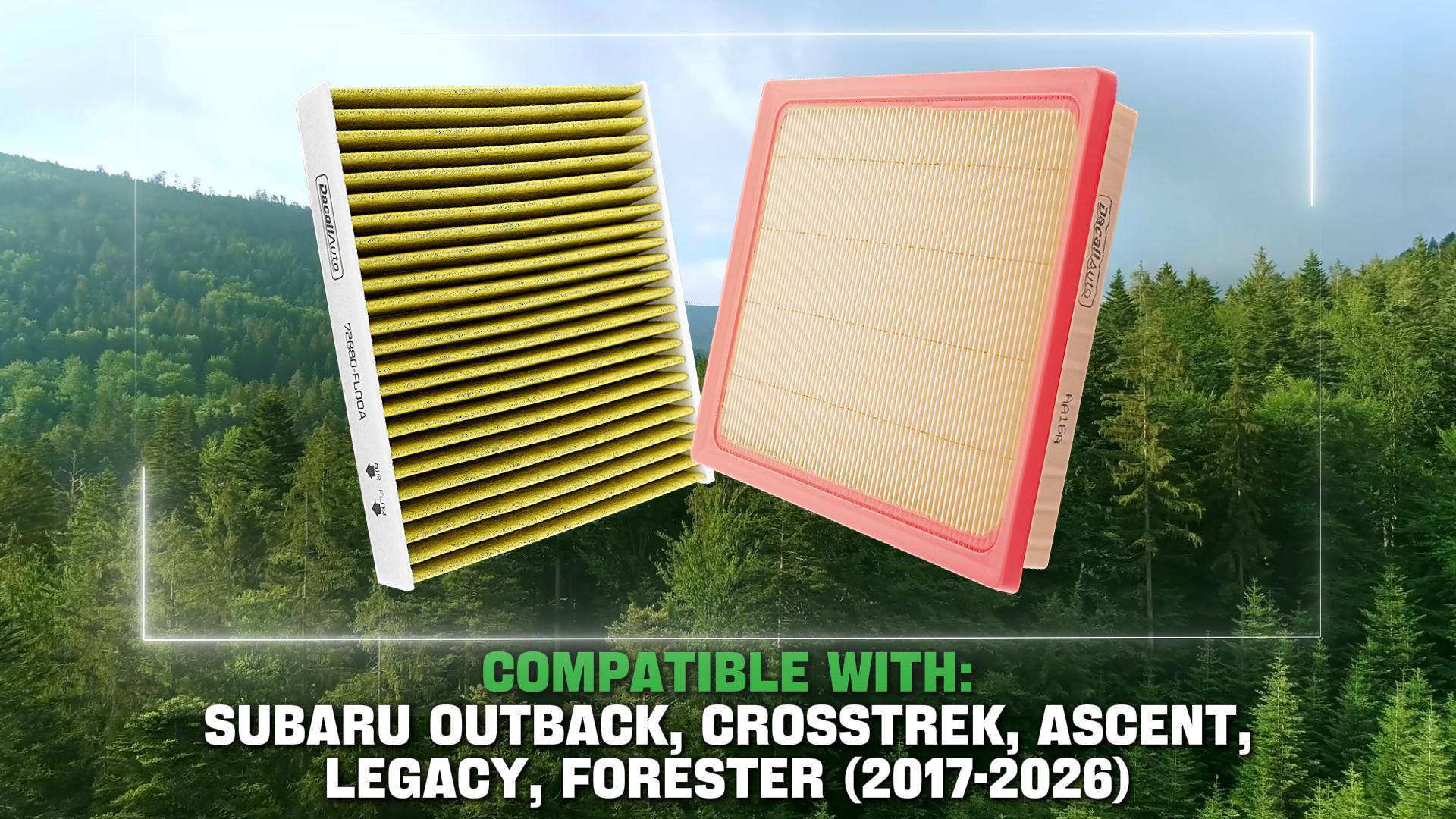 Amazon.com: Dacall Activated Carbon Cabin & Engine Air Filter Set