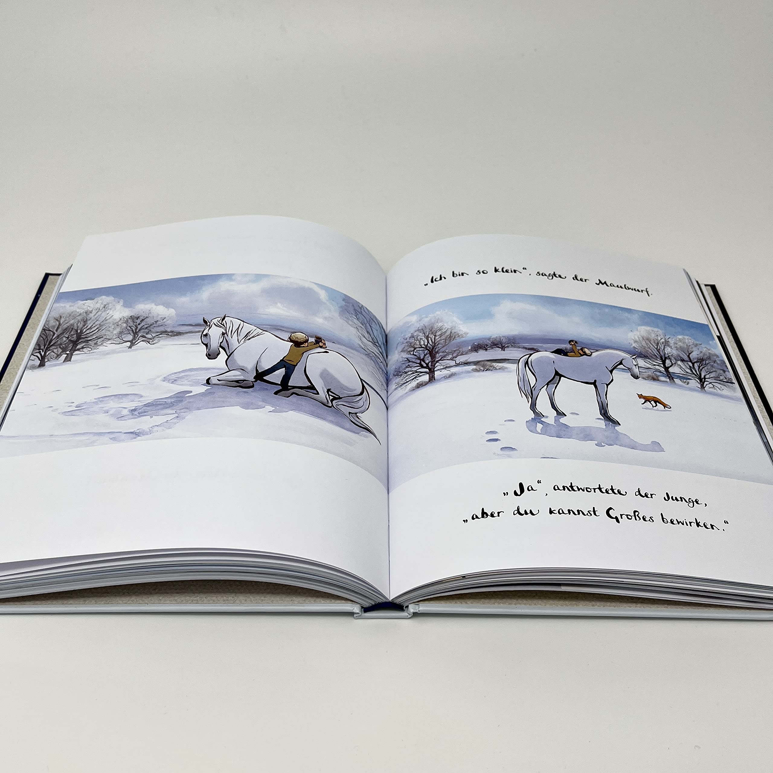 Der Junge, der Maulwurf, der Fuchs und das Pferd. Eine bewegte Geschichte: Der Oscar-Gewinner 2023 - ein Buch, so schön wie eine Umarmung