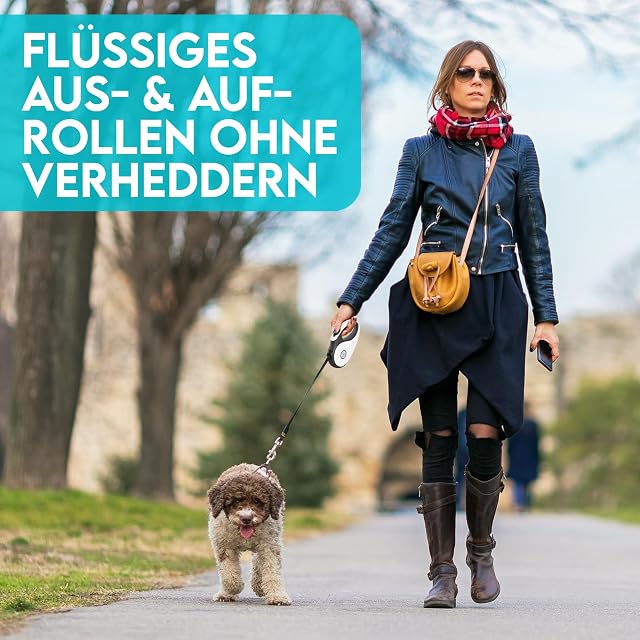 Foto 5 de 7 de Hund ist KÖNIG Correa para Perros de 8 m para Perros pequeños y Grandes, Correa Extensible con Mango cómodo