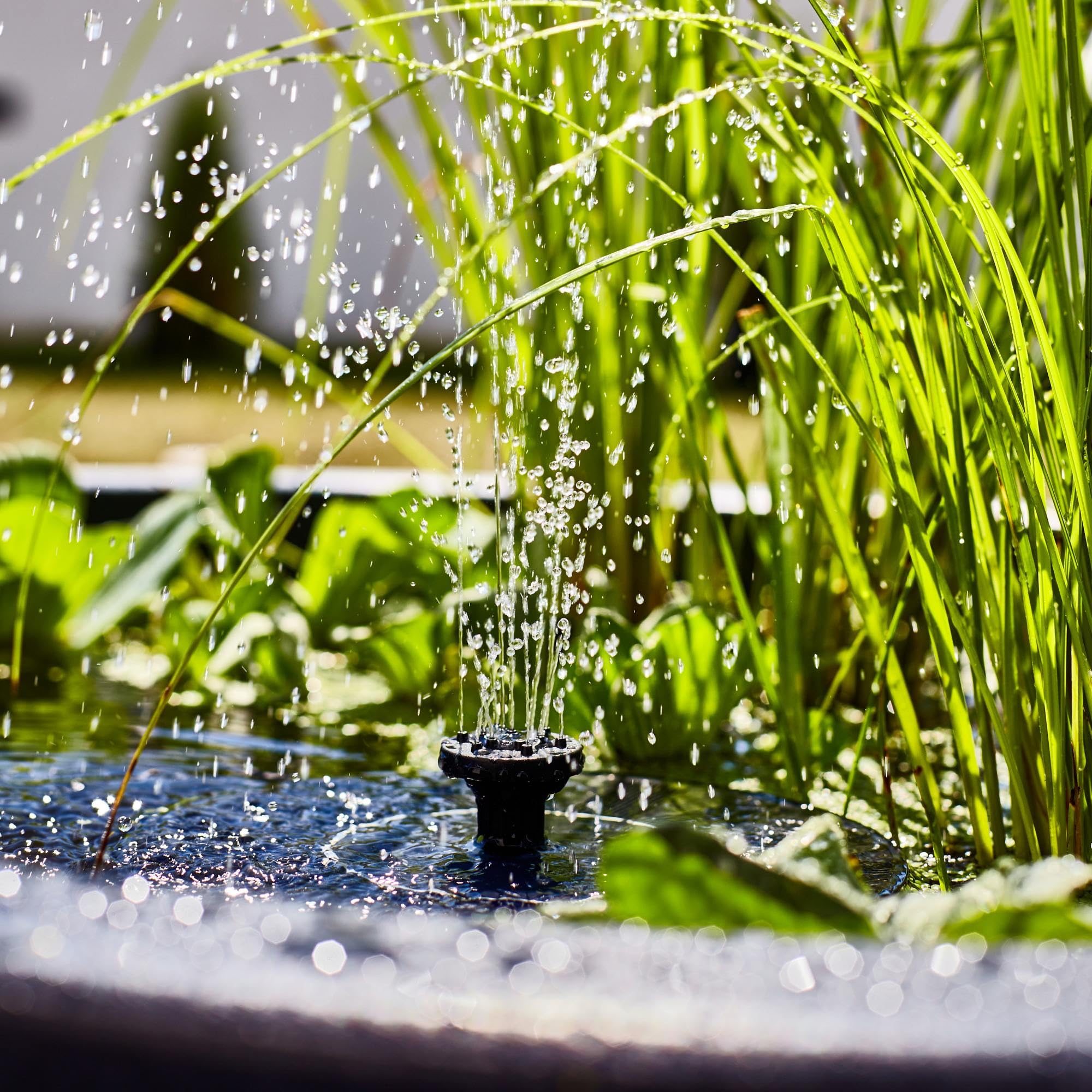 Heissner Solar Wassergarten LOTUSGARDEN inkl. Wasserspielpumpe und Beleuchtung - Miniteich, Dekoteich, Balkonteich