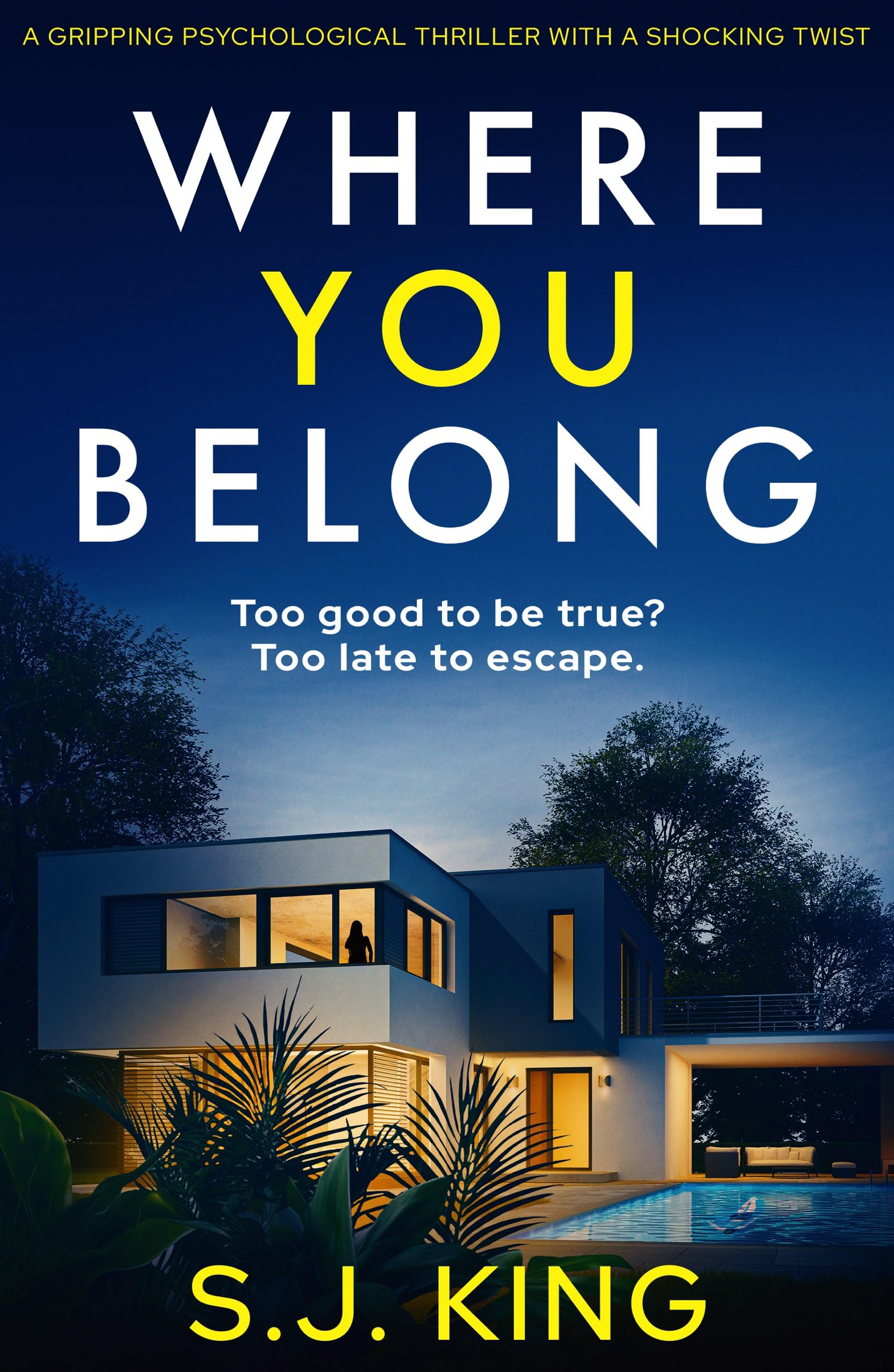 Buy Where You Belong: A Gripping Psychological Thriller With a Shocking Twist — BookShops.in