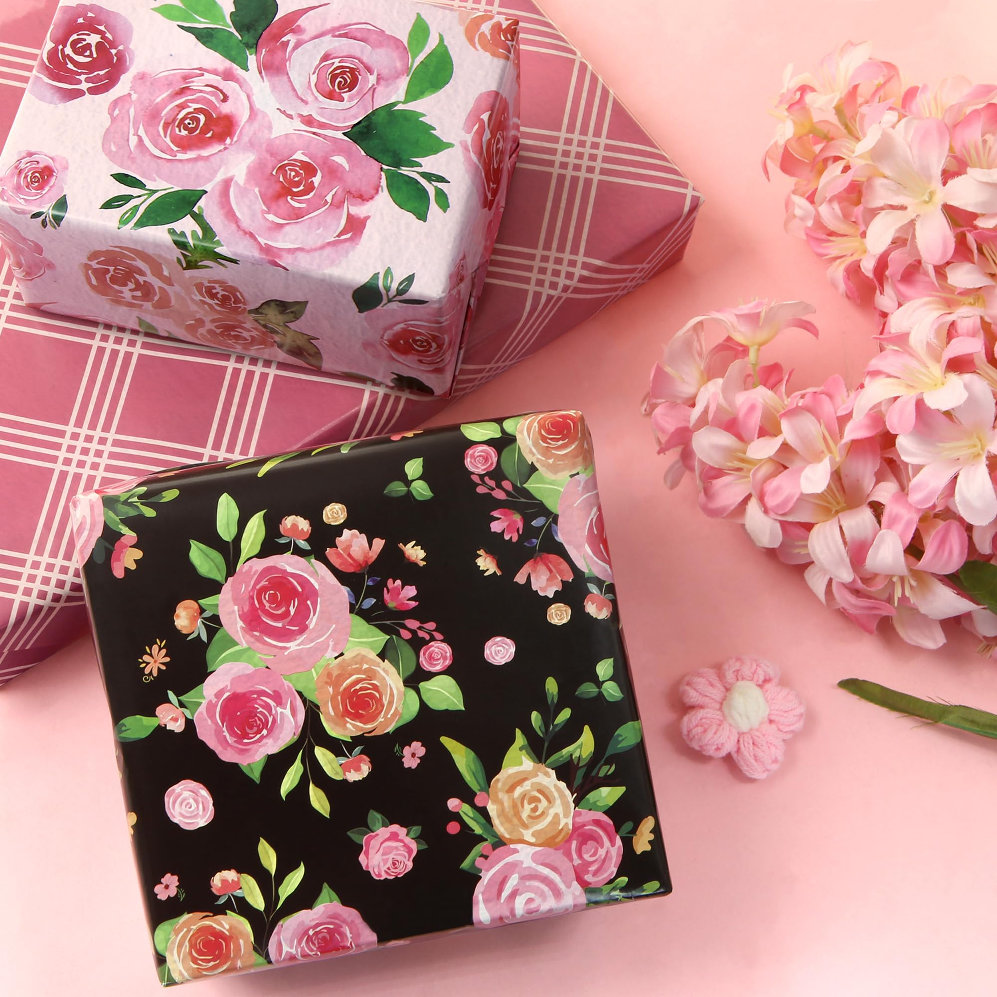 View 5