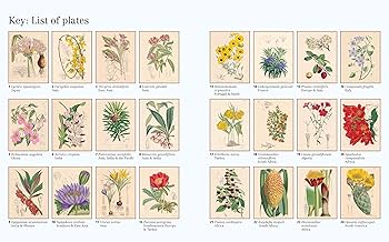 洋書　WORLD FLOWERS 植物画 洋書 WORLD FLOWERS 植物画 The Book of Wild Flowers