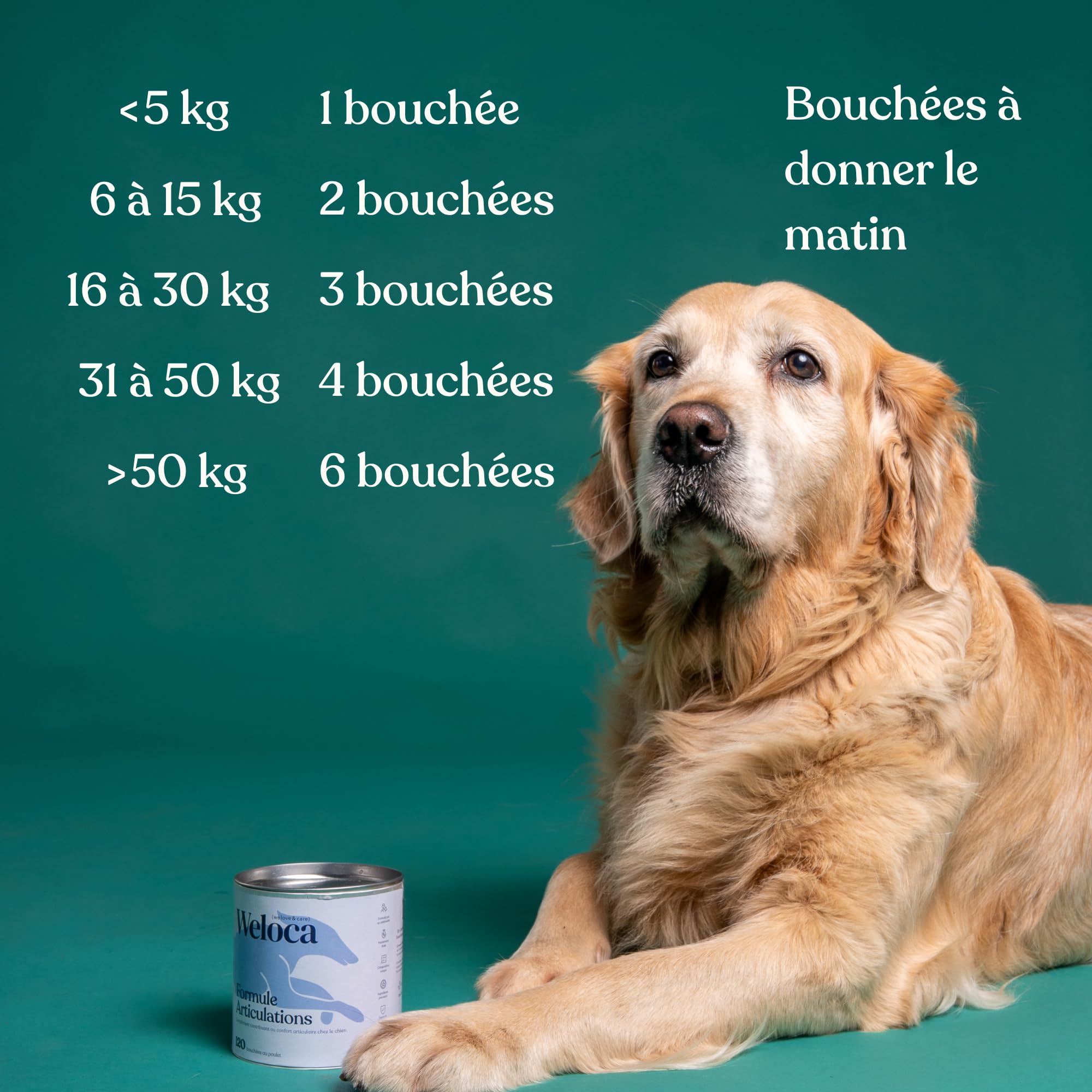 Arthrose Chien | 120 compléments Premium | 11 Actifs puissants hautement dosés (Moule Verte, harpagophytum, chondroïne, Glucosamine) | Anti-arthrose, mobilité retrouvée | Formule vétérinaire
