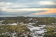 Review Image by Y. Wang Y. Wang