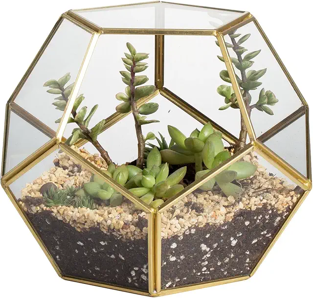 Handmade Gold Messing Terrarium für Sukkulenten & Luftpflanzen