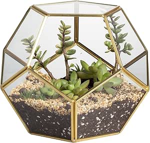 NCYP Gold Glass Terrarium for Succulent, Air Plants - Modern Pentagon Geometric Terrarium Planter for Miniature Garden - Home, Office Tabletop Brass Decor, 6.89x6.89x5.9 Inches (No Plants)