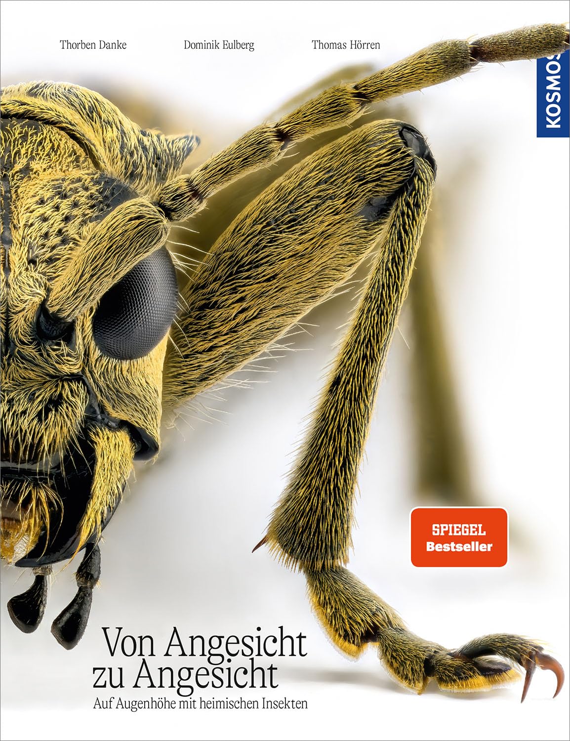 Von Angesicht zu Angesicht: Auf Augenhöhe mit heimischen Insekten - faszinierende Fotos und wissenswerte Wunderfakten