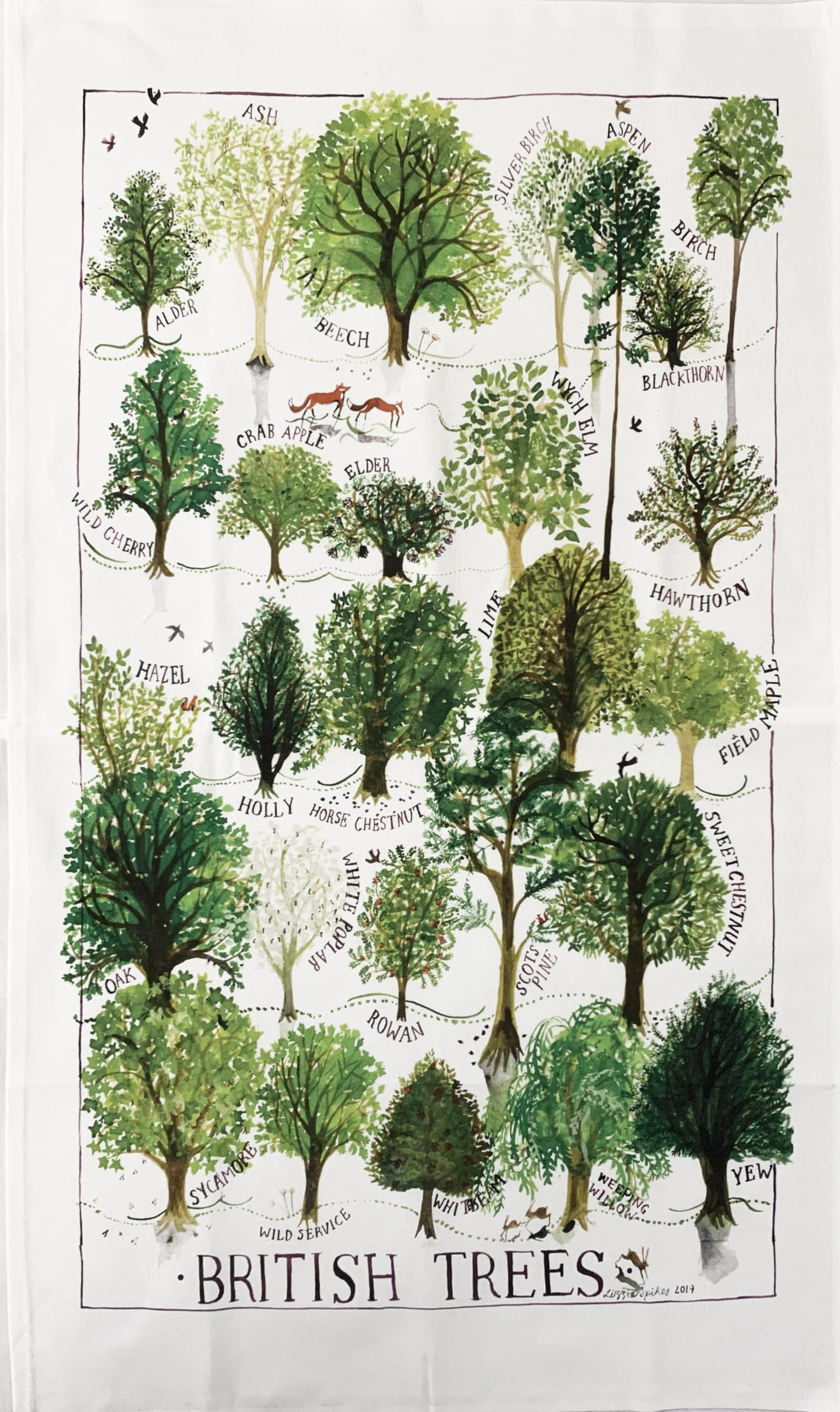 Crackers Ltd White British Trees Illustrated Cotton Tea Towel, Traditional Botanical Forest Design, 480 X 800Mm Kitchen Towel With Native Species Identification Guide