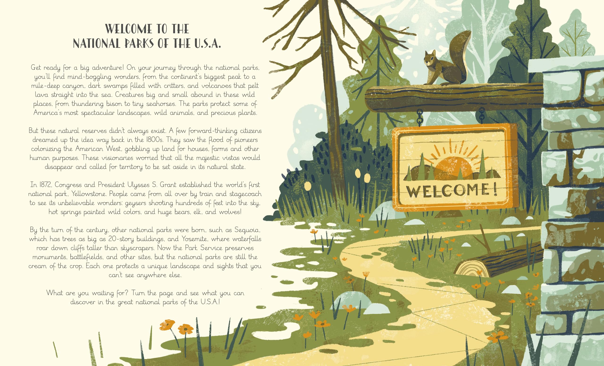 National Parks of the USA (Americana) - Image 2