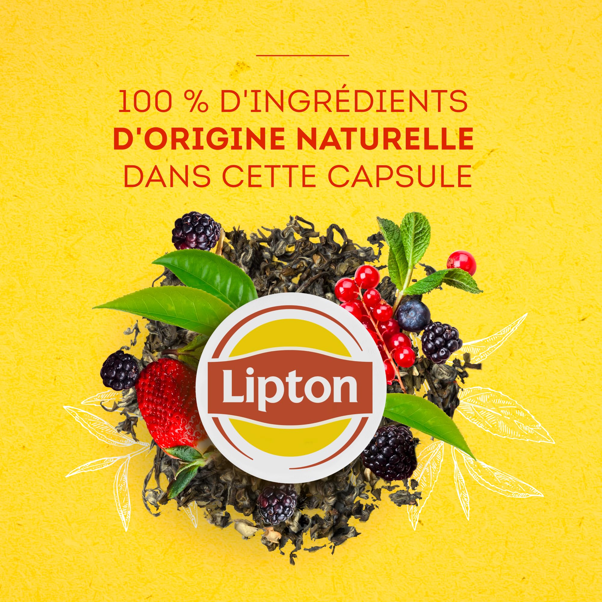 Lipton, Thé Noir, Goût Fruits Rouges, Capsules Compatibles Nespresso, Vitalité, Ingrédients d'Origine 100% Naturelle, 10 Capsules (Lot de 10)