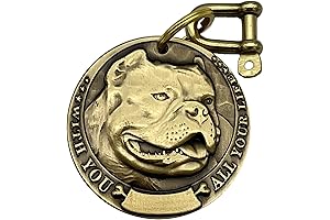 Auchic Vintage Pure Copper Personalized Pet ID Tags for American Bully Pitbulls