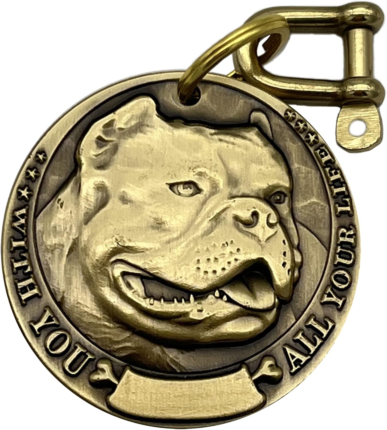 Auchic Vintage Pure Copper Pet ID Tags,Personalized Dog