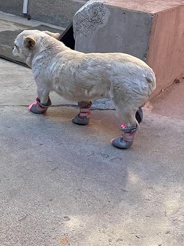 Miniatura 5 de Botas de malla Lonsuneer para cachorro para uso diario con suela suave y antideslizante, con 2 correas de velcro largas, seguras y reflectantes,