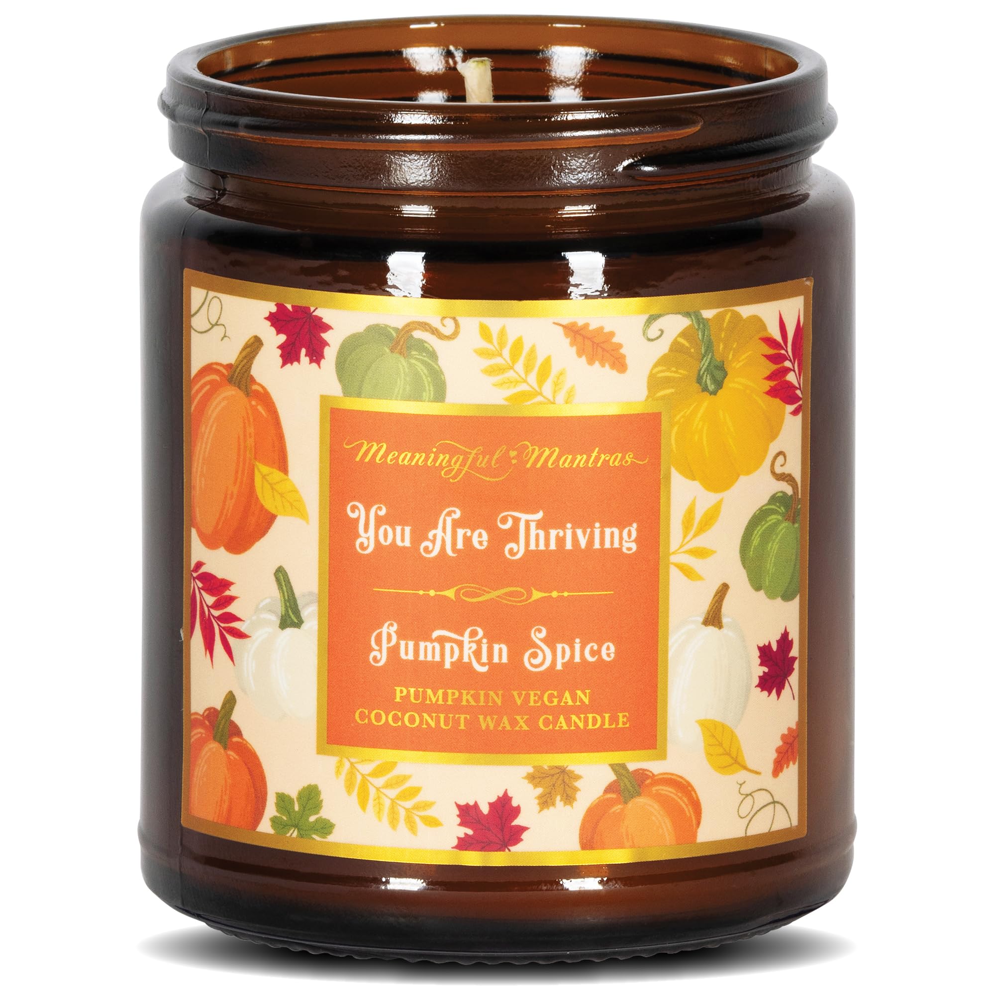 Pumpkin Spice Fall Aromatherapy Candle Non-Toxic Long Lasting | 100% Real Essential Oils, Coconut Wax, Handmade with Love 8oz