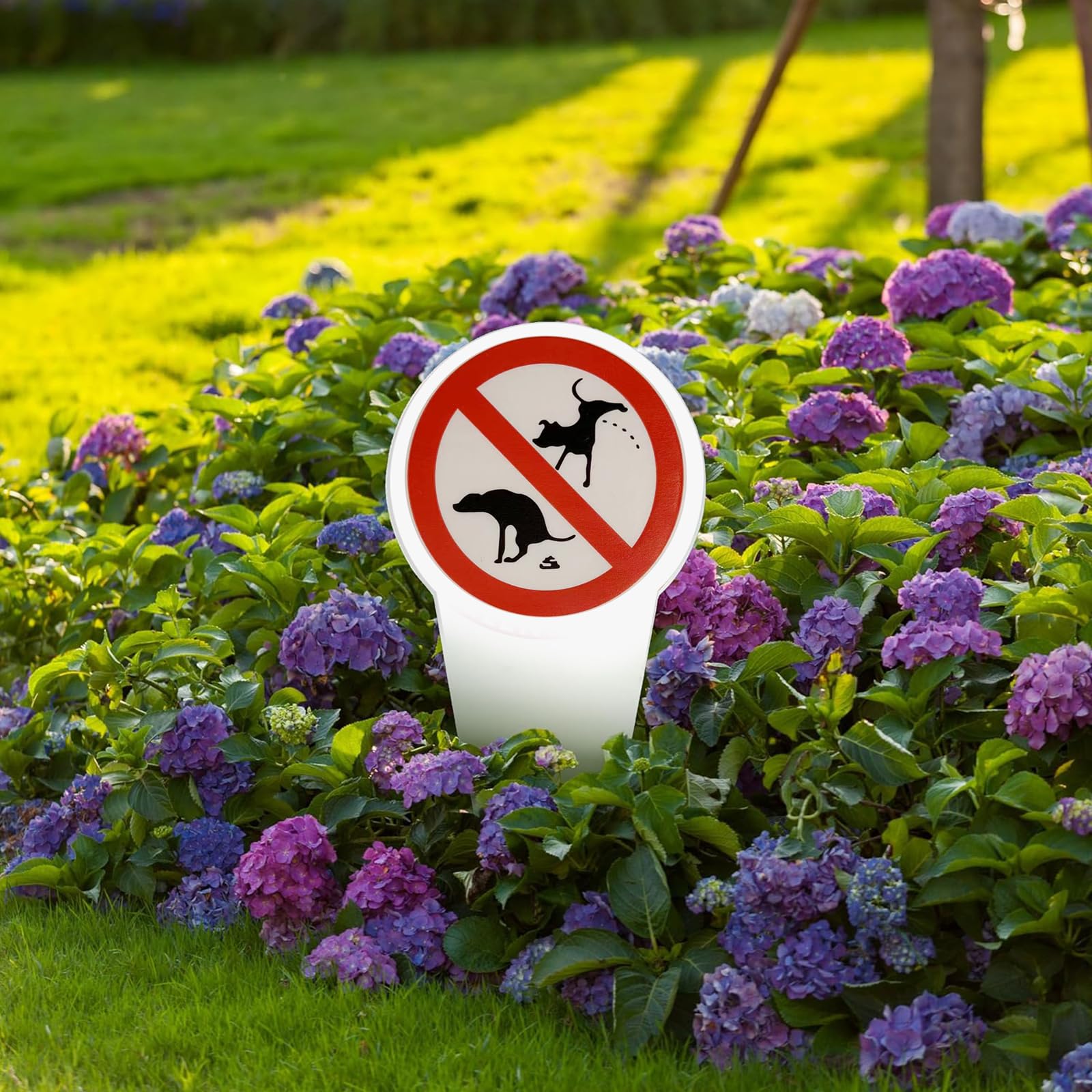 Cartello Divieto di Cacca e Pipì per Cani 29x14 cm, Segnale per Giardini, Parchi, Aree Giochi e Ingressi, Realizzato in PVC Rigido e Resistente alle Intemperie