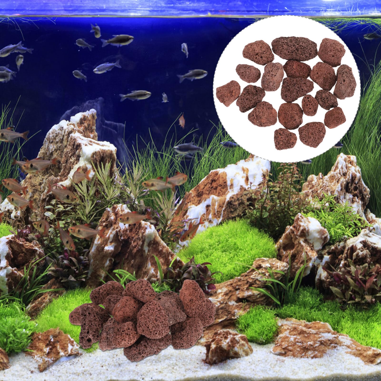 iplusmile Pierre De Lave Volcanique pour Aquarium 6X6X6 Cm Roche Volcanique Naturelle pour Filtration Et Décoration De Réservoir d'eau Douce Et Marine Support De Filtre Et Substrat Aquarium
