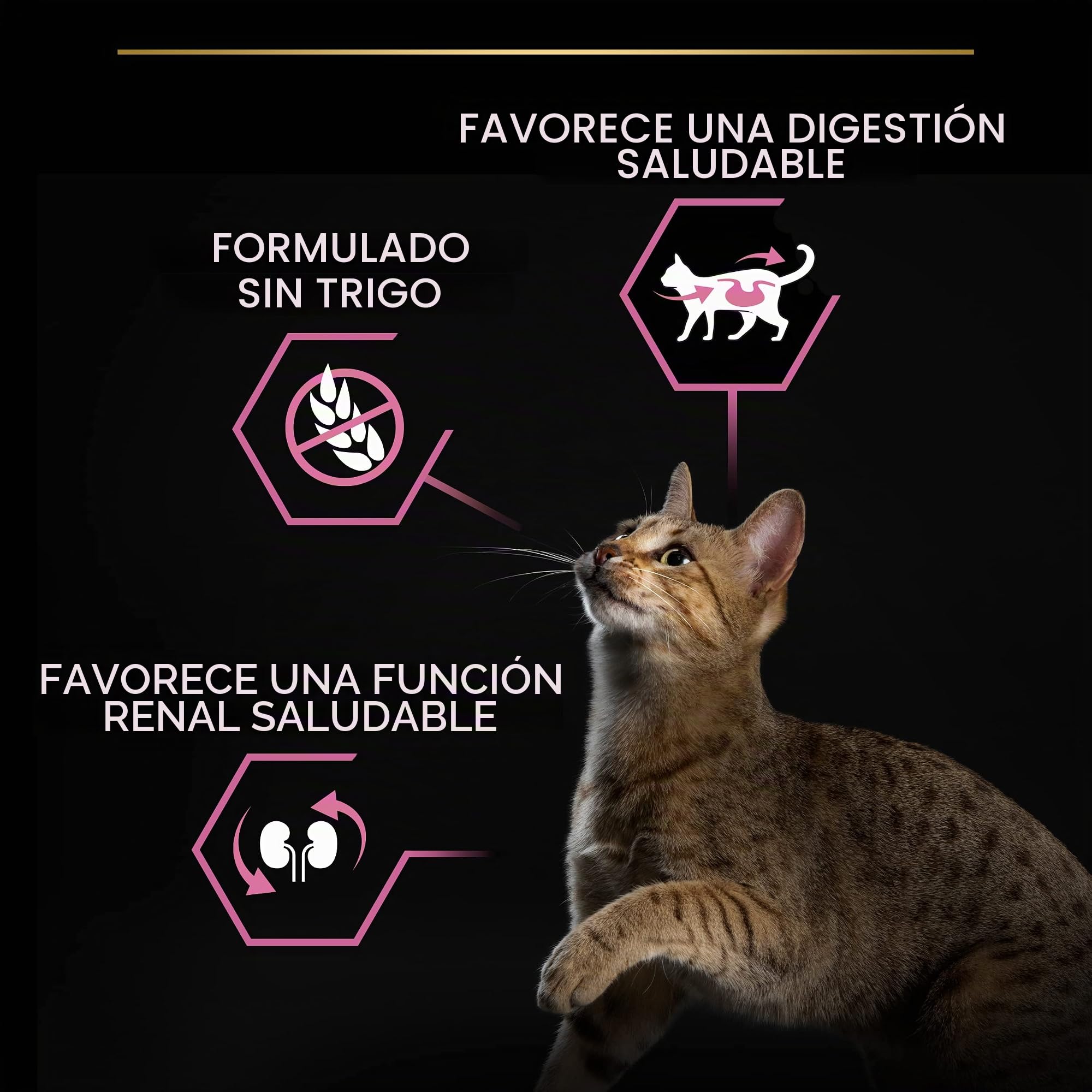 Purina Pro Plan Delicate Turkey Comida para Gatos - 10000 gr