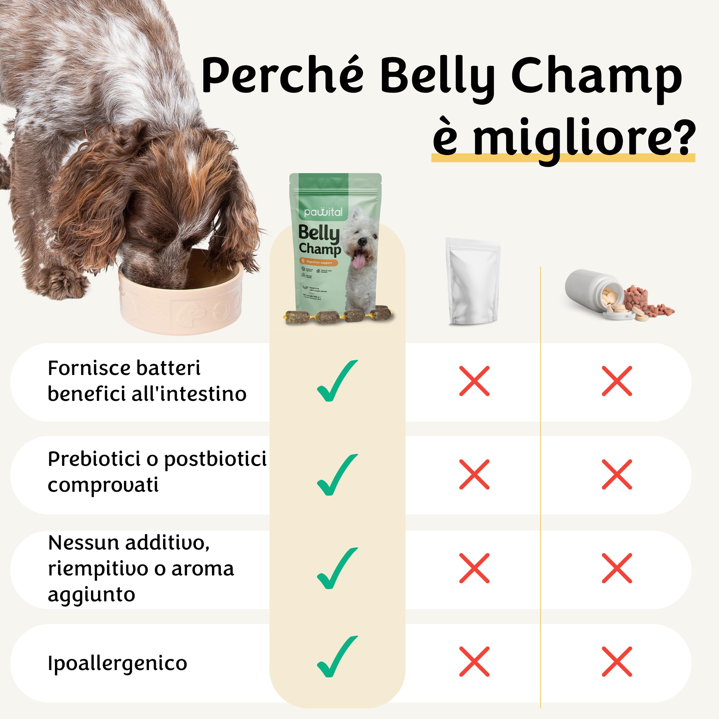 Belly Champ - Natürliche Hundeleckerlis mit Postbiotika & Wildlachs für Hunde bei Verdauung, Juckreiz, Kratzen, Pfotenlecken und Grasfressen, 60 Kausnacks