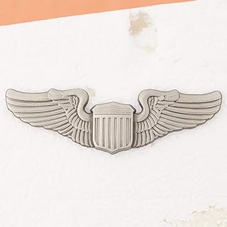 EagleEmblems P16063 Wing-USAF,Pilot,Basic (3')