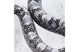 noah gundersen vinyl