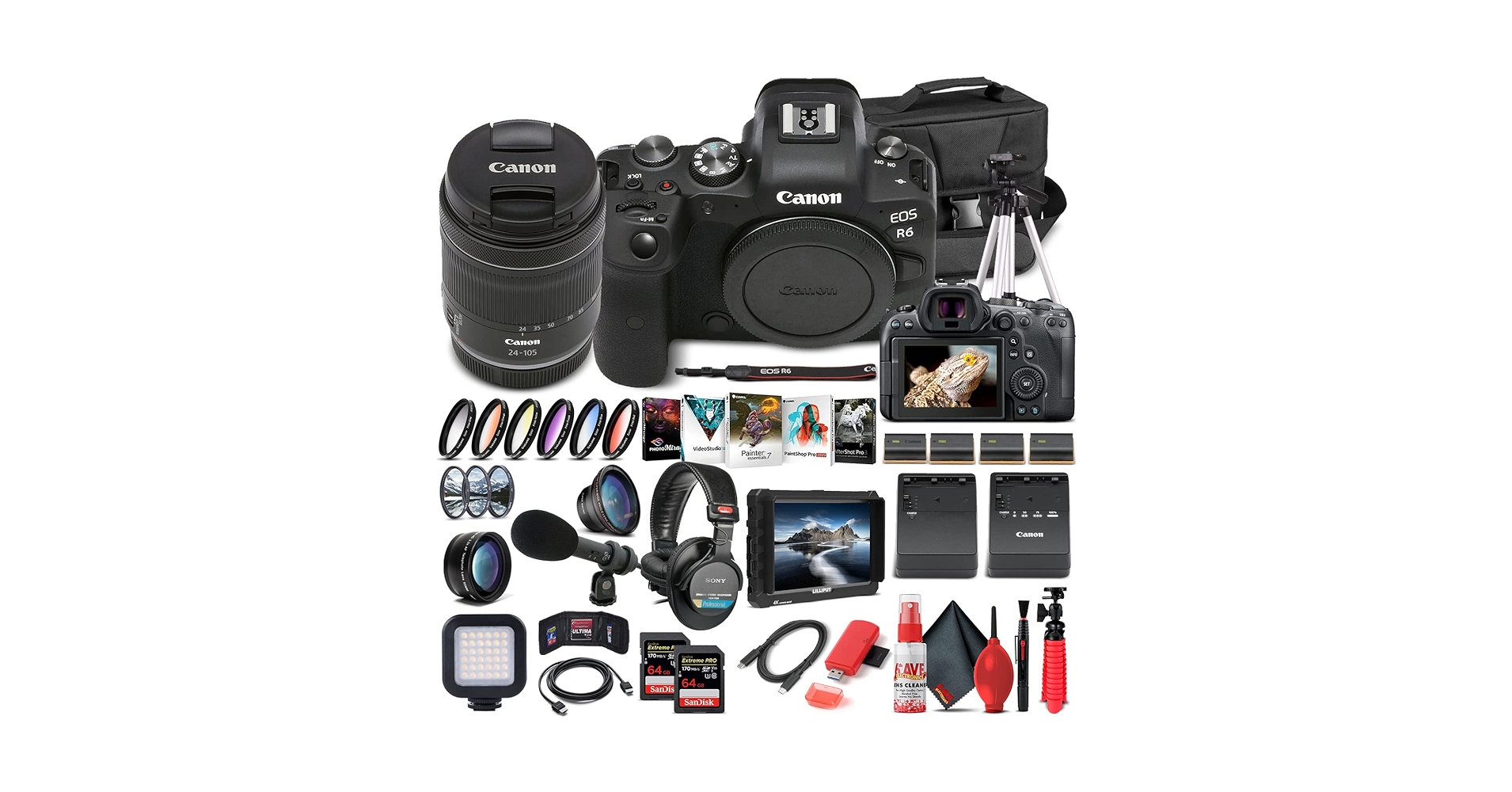 Amazon.com : Canon EOS R6 Mirrorless Digital Camera with 24