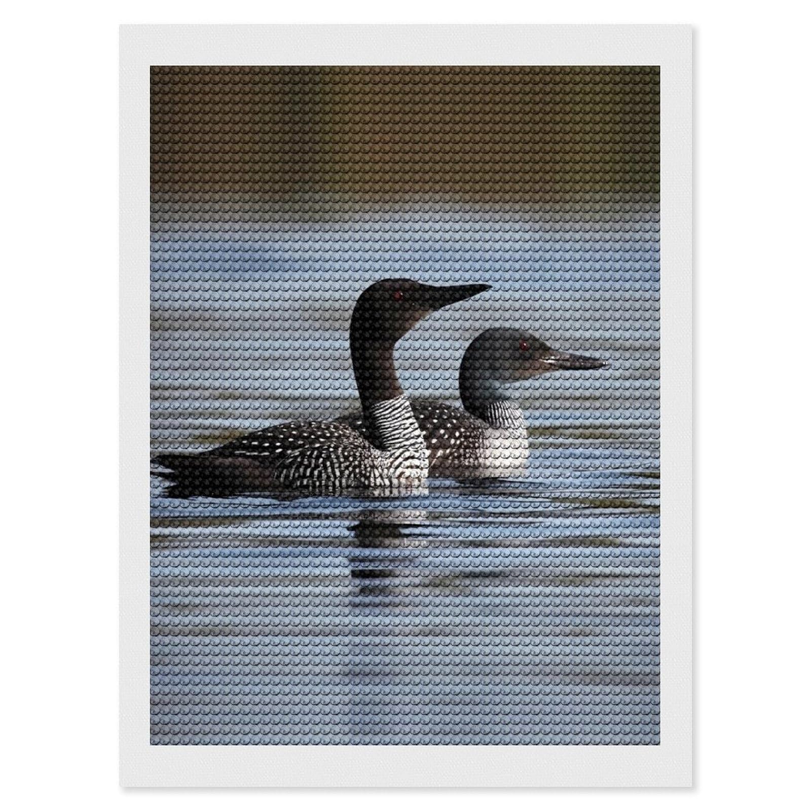 FodPand Loon Birds 5D Diamond Painting Kits for Adults Beginners Full Drill Round Diamond Dots Pictures Gem Art Supplies for Home Wall Room Decoration DIY Craft Set Gift 12x16