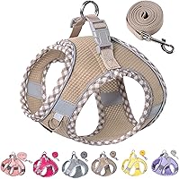 Vista 7 de Petank Arnés para perros pequeños y medianos sin tirones, juego de arnés y correa para cachorro, arnés para perro para caminar, correr y entrenar