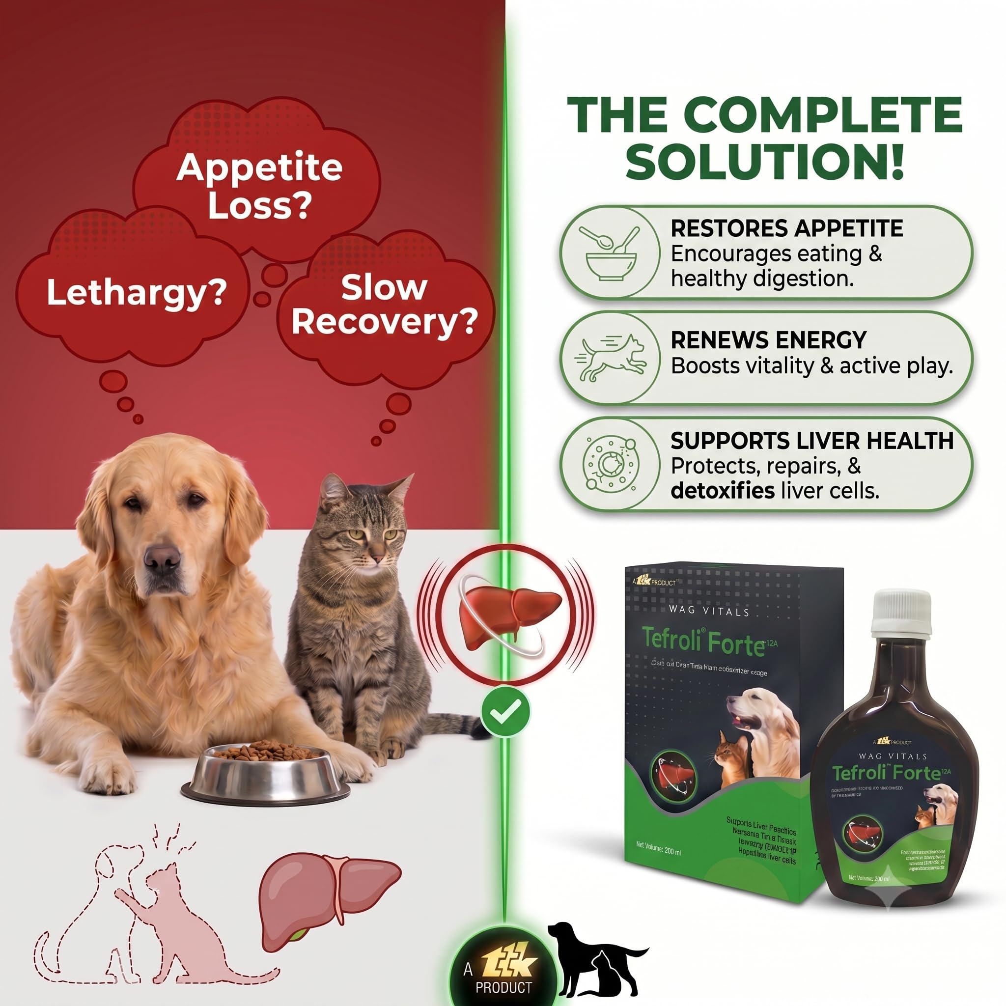 Forte PET Herbal Liver Support Syrup for Dogs & Cats | with Silymarin & Multi-Herbal Hepatoprotective Blend | Supports Liver Function, Appetite, Digestion & Vitality | 200 ml (Pack of 1) — Amazon image 2