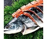 特級 北海道産 時不知 極上品 ときしらず 高鮮度 厳選品 希少な厳選時鮭 化粧箱入り お中元 贈答 ギフト