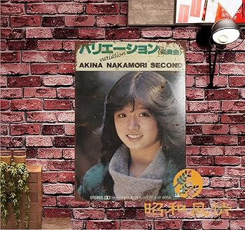 Amazon.co.jp: 【昭和の風情】中森明菜 懐かし 写真 鉄板 ポスター