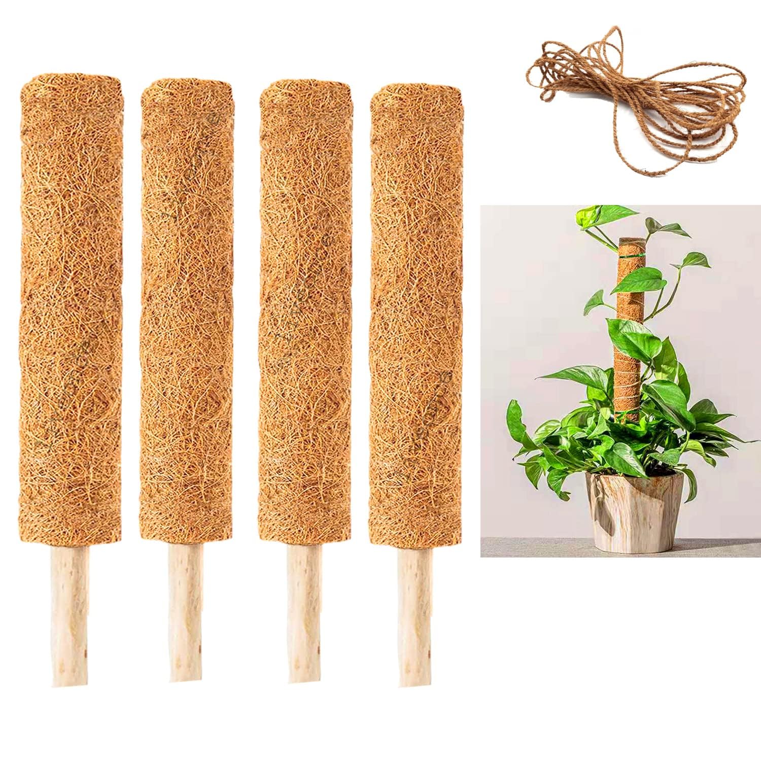 NIKHAT Moss and Coir Stick/Moistick Graas Stick 2 Feet Pack of 4 Garden Mulch (B0CK63F341) Amazon Price History, Amazon Price Tracker