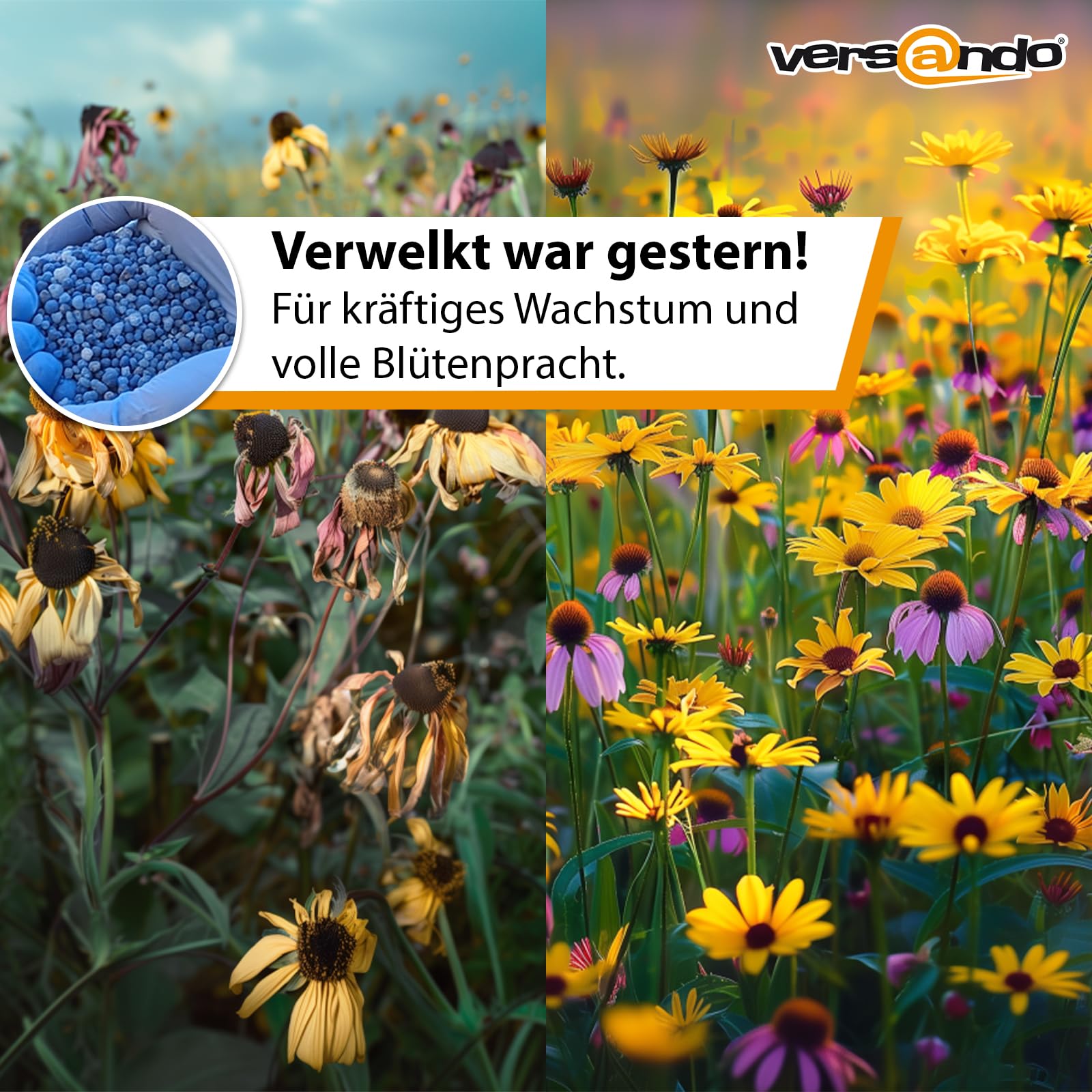 versando 10kg bis 150m² Blaudünger: NPK-Dünger für Obst Gemüse & kräftige Pflanzen mit Langzeitwirkung - Premium Qualität
